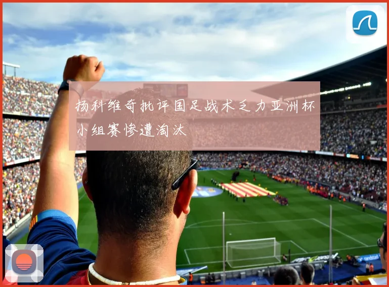 扬科维奇批评国足战术乏力亚洲杯小组赛惨遭淘汰