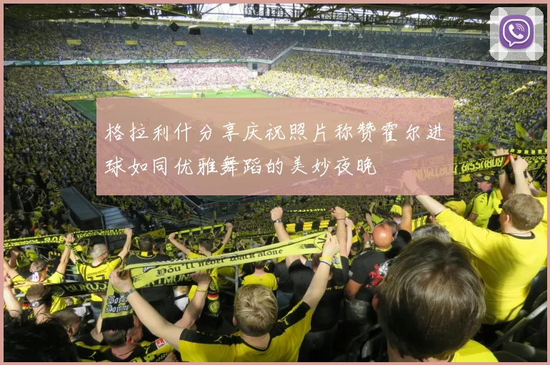 格拉利什分享庆祝照片称赞霍尔进球如同优雅舞蹈的美妙夜晚