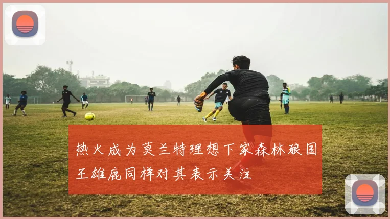 热火成为莫兰特理想下家森林狼国王雄鹿同样对其表示关注
