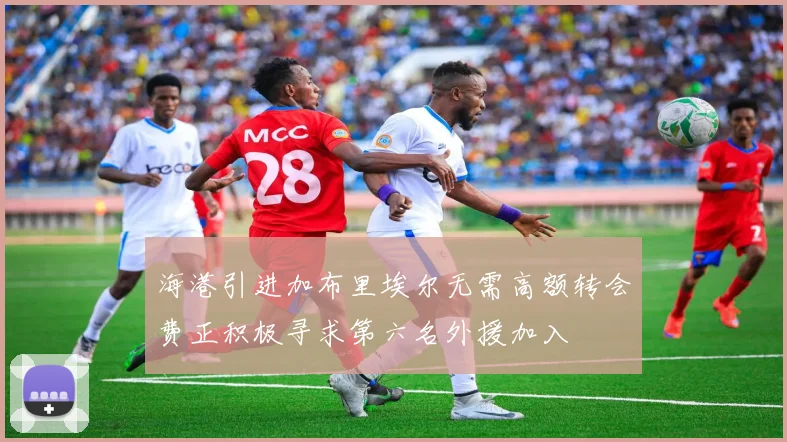 海港引进加布里埃尔无需高额转会费正积极寻求第六名外援加入