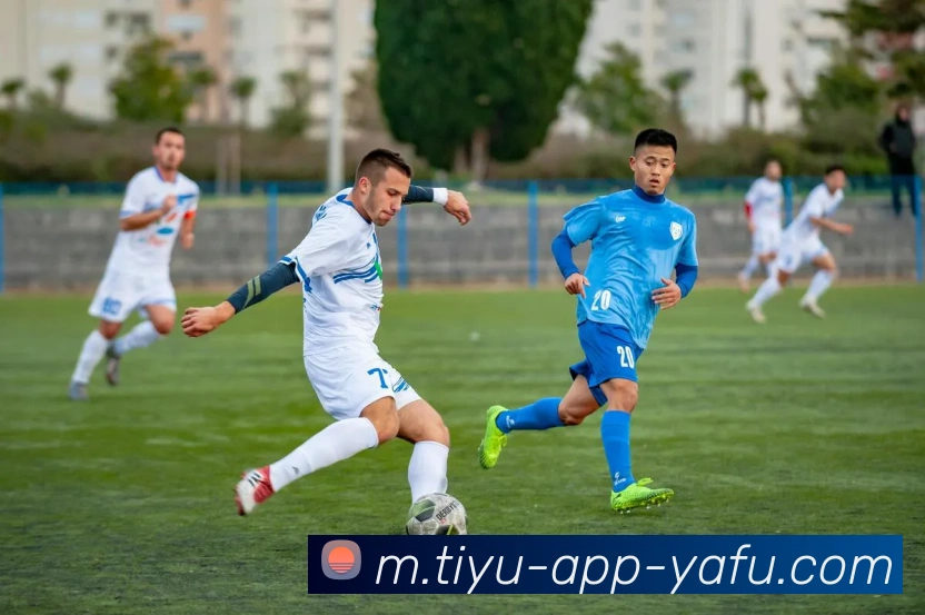 App Interface Preview